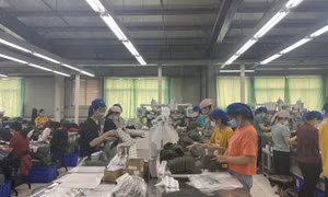 Bảo đảm mục tiêu tạo việc làm tăng thêm cho ít nhất 20.000 lao động