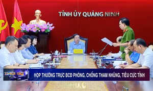 Họp Thường trực BCĐ phòng, chống tham nhũng, tiêu cực tỉnh
