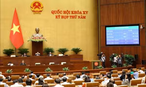 Thông qua Luật Bảo vệ quyền lợi người tiêu dùng (sửa đổi)