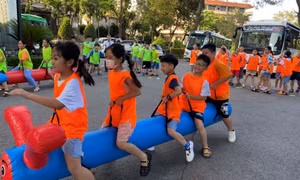 Nhiều hoạt động trải nghiệm mùa hè cho trẻ
