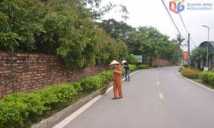 Phụ nữ huyện Đầm Hà: Chung sức xây dựng nông thôn mới