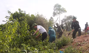 TX Quảng Yên ra quân tổng dọn đê điều
