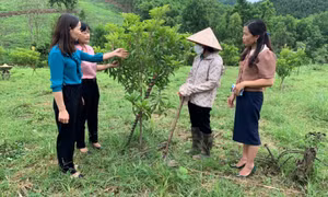 Nâng cao vị thế của phụ nữ trong phát triển kinh tế 