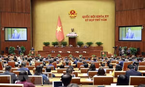 Quyết tâm thực hiện thắng lợi các mục tiêu phát triển kinh tế-xã hội