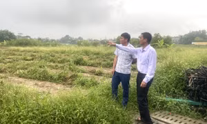 Đầm Hà: Cần đẩy nhanh tiến độ cấp đổi, cấp mới giấy CNQSDĐ