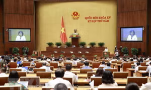 Hôm nay (6/6), Quốc hội tiến hành chất vấn và trả lời chất vấn