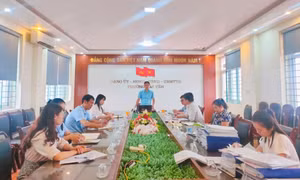 Nâng cao hiệu quả tổ chức thi hành pháp luật
