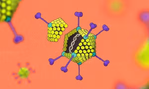 Triệu chứng cảnh báo bạn nhiễm virus adeno
