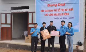 Hướng về cơ sở