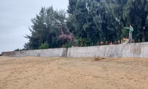 Xã đảo Cái Chiên nâng cao năng lực ứng phó thiên tai