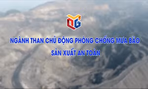 Ngành than chủ động phòng chống mưa bão, sản xuất an toàn