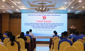 Đoàn Khối các cơ quan và doanh nghiệp tỉnh: Sơ kết công tác Đoàn và phong trào thanh niên 6 tháng đầu năm 