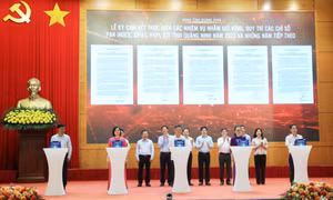 Cải cách thể chế, môi trường đầu tư để thu hút doanh nghiệp