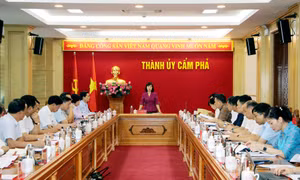 Đoàn Giám sát Ban Chấp hành Đảng bộ tỉnh giám sát tại Thành ủy Cẩm Phả