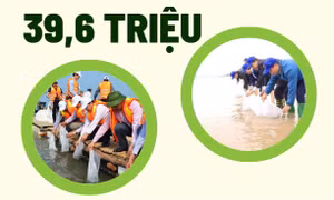 39,6 triệu - số con giống thủy sản được thả ra môi trường tự nhiên nhằm tái tạo nguồn lợi thuỷ sản