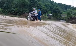 Các tỉnh miền núi phía Bắc chủ động ứng phó với lũ quét, sạt lở đất