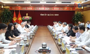 Quảng Ninh làm việc với Tập đoàn Xây dựng Thái Bình Dương (Trung Quốc) và Tập đoàn FPT