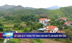 Xây dựng xã Kỳ Thượng trở thành vùng kinh tế lâm nghiệp bền vững, hướng tới phát triển du lịch sinh thái