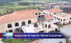 Phường An Sinh tập trung phát triển kinh tế sau sáp nhập