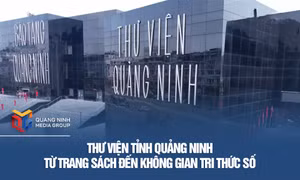 Thư viện tỉnh Quảng Ninh - Từ trang sách đến không gian tri thức số