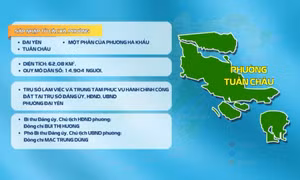 Hội tụ lợi thế sau sáp nhập, Tuần Châu sẵn sàng bứt phá
