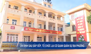 Ổn định sau sắp xếp, tổ chức lại cơ quan quân sự địa phương