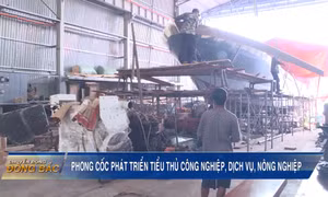 Phong Cốc phát triển tiểu thủ công nghiệp, dịch vụ, nông nghiệp