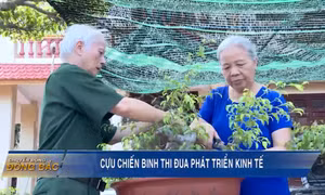 Cựu chiến binh thi đua phát triển kinh tế