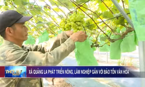 Xã Quảng La phát triển nông, lâm nghiệp gắn với bảo tồn văn hóa