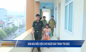 Đảm bảo các điều kiện để người dân tránh trú bão an toàn