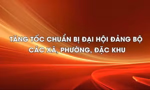 Tăng tốc chuẩn bị đại hội Đảng bộ các xã, phường, đặc khu