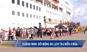 Quảng Ninh: Sôi động du lịch tàu biển 4 mùa