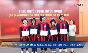 Gần 200 sinh viên Trường Đại học Hạ Long được tuyển dụng trước khi tốt nghiệp