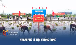 Khám phá Lễ hội xuống Đồng