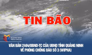 Văn bản 2494/UBND-TC của UBND tỉnh Quảng Ninh về phòng chống bão số 3 (Wipha)