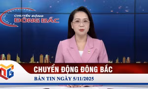 Chuyển động Đông Bắc ngày 5/11/2025