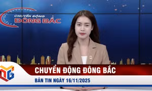 Chuyển động Đông Bắc ngày 16/11/2025