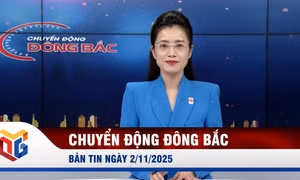  Chuyển động Đông Bắc ngày 2/11/2025