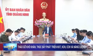 Tháo gỡ khó khăn, thúc đẩy phát triển KKT, KCN, CCN và năng lượng