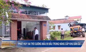 Phát huy vai trò gương mẫu đi đầu trong nâng cấp khu dân cư