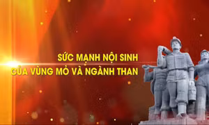 Sức mạnh nội sinh của Vùng Mỏ và ngành Than