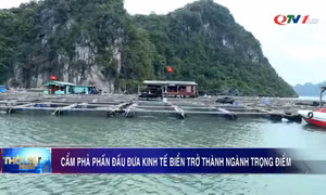 Cẩm Phả phấn đấu đưa kinh tế biển trở thành ngành trọng điểm