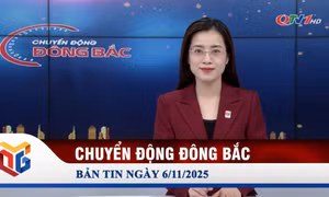 Chuyển động Đông Bắc ngày 6/11/2025