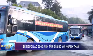 Để người lao động yên tâm gắn bó với ngành Than