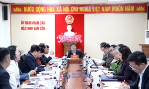 Xây dựng cơ chế, chính sách vượt trội cho đặc khu kinh tế Vân Đồn