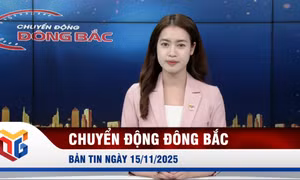 Chuyển động Đông Bắc ngày 15/11/2025