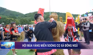 Hội Mùa vàng miền Soóng cọ xã Đông Ngũ