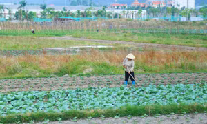 Không chủ quan với rét đậm, rét hại