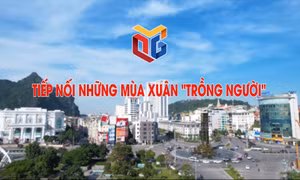 Tiếp nối những mùa xuân "trồng người"