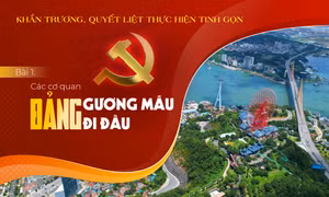 Sắp xếp, tinh gọn tổ chức bộ máy: Các cơ quan Đảng gương mẫu đi đầu
